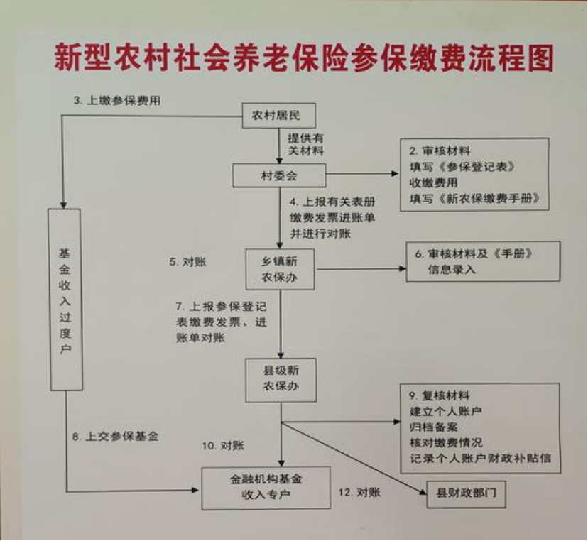 南阳农村医保和社保有什么区别(农村医保跟社保的区别)