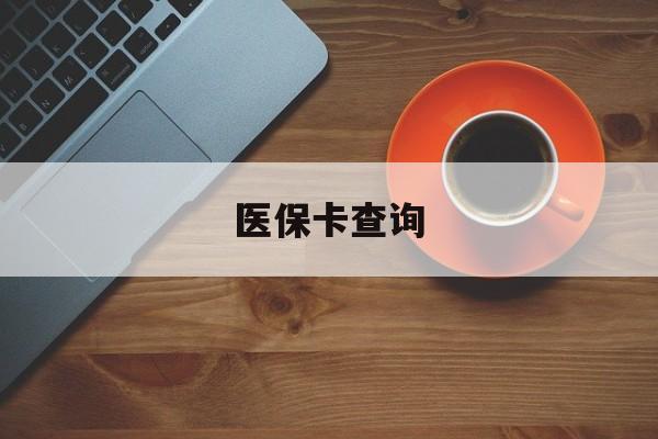 南阳医保卡查询(医保卡查询怎么查的)